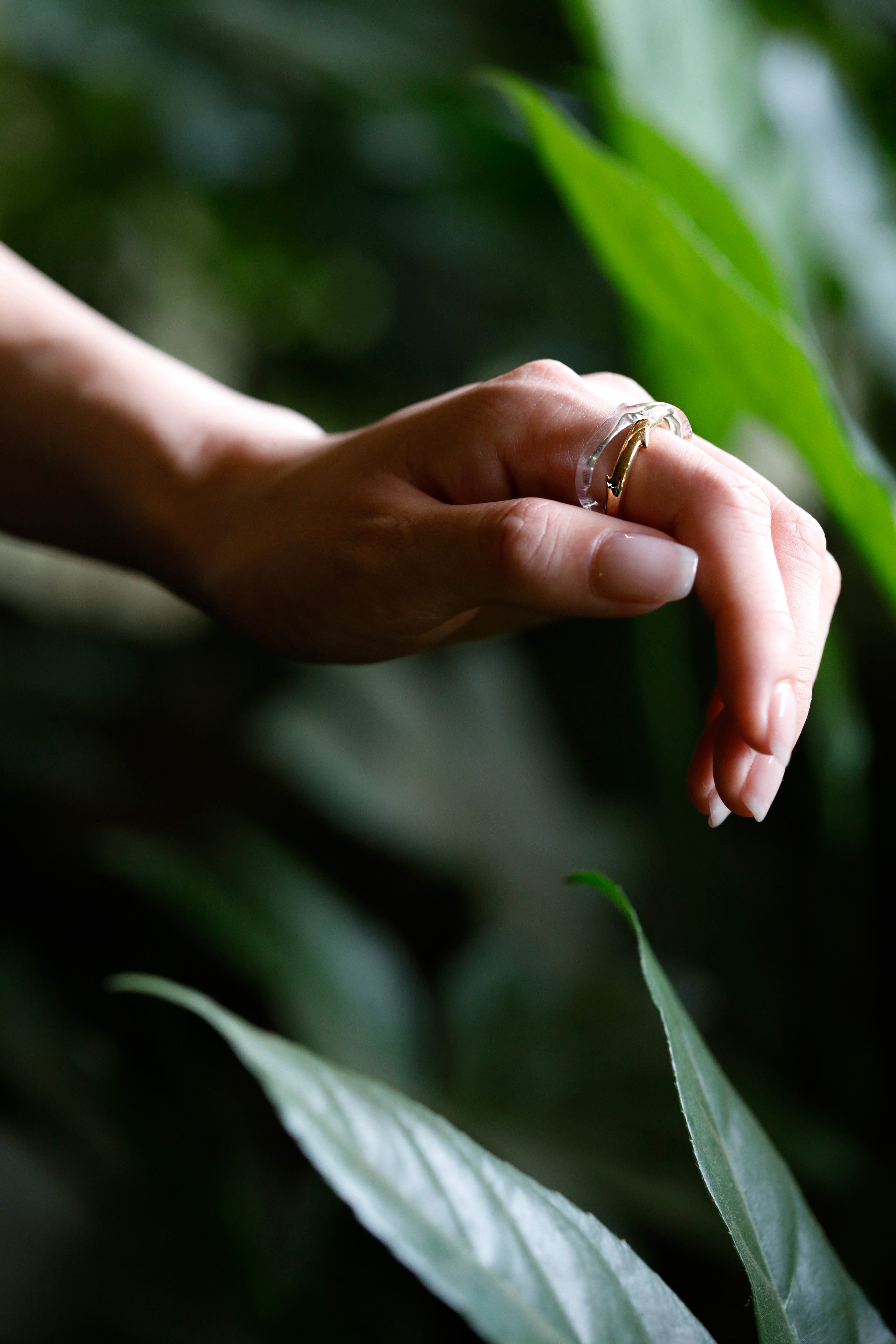 Ring of Thorns Cold Embrace Ring